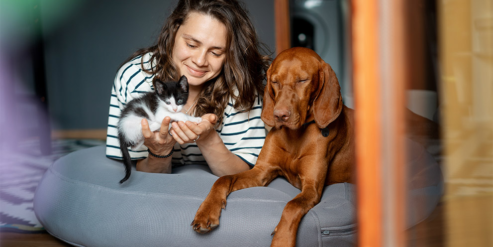 A women is holding her kiten with dog next to her.